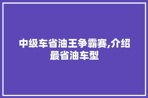 中级车省油王争霸赛,介绍最省油车型