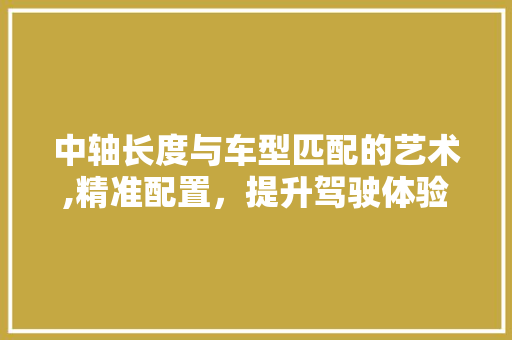 中轴长度与车型匹配的艺术,精准配置，提升驾驶体验