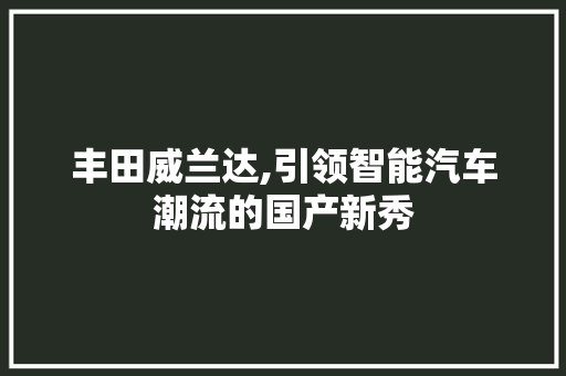 丰田威兰达,引领智能汽车潮流的国产新秀  第1张