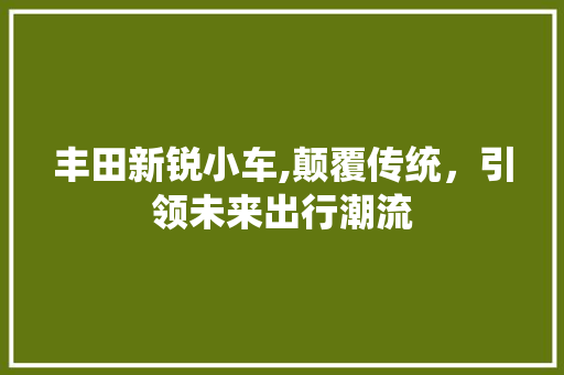 丰田新锐小车,颠覆传统，引领未来出行潮流