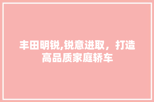 丰田明锐,锐意进取，打造高品质家庭轿车