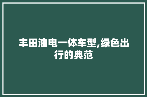 丰田油电一体车型,绿色出行的典范