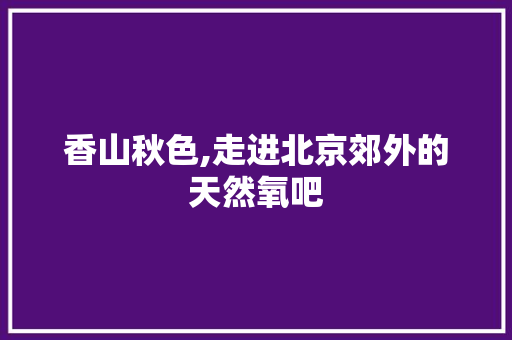 香山秋色,走进北京郊外的天然氧吧