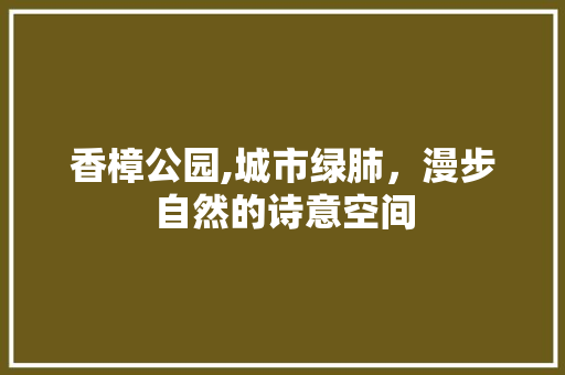 香樟公园,城市绿肺，漫步自然的诗意空间