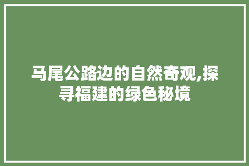 马尾公路边的自然奇观,探寻福建的绿色秘境