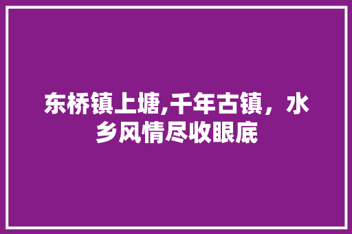 东桥镇上塘,千年古镇，水乡风情尽收眼底