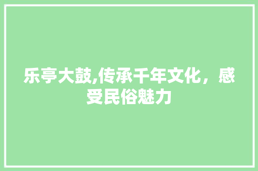 乐亭大鼓,传承千年文化，感受民俗魅力