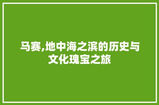 马赛,地中海之滨的历史与文化瑰宝之旅