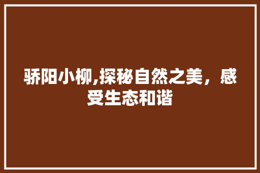 骄阳小柳,探秘自然之美，感受生态和谐