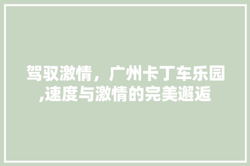 驾驭激情，广州卡丁车乐园,速度与激情的完美邂逅