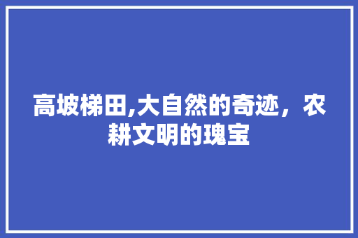 高坡梯田,大自然的奇迹，农耕文明的瑰宝