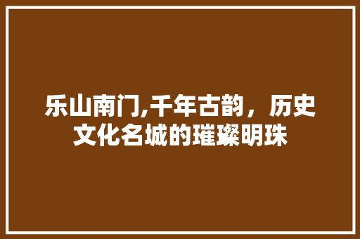 乐山南门,千年古韵，历史文化名城的璀璨明珠