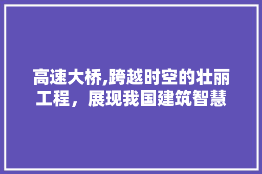 高速大桥,跨越时空的壮丽工程，展现我国建筑智慧