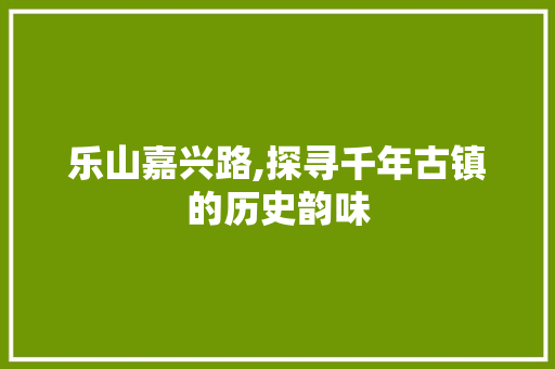 乐山嘉兴路,探寻千年古镇的历史韵味  第1张