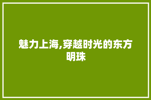 魅力上海,穿越时光的东方明珠