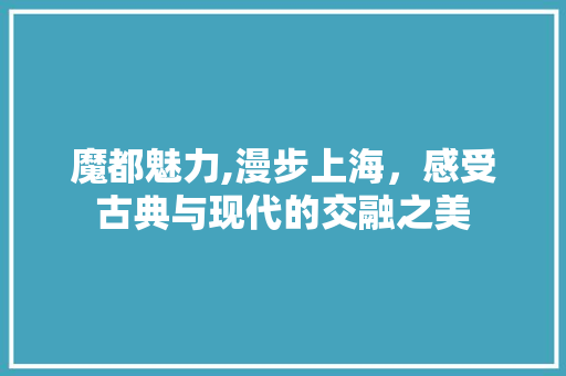 魔都魅力,漫步上海，感受古典与现代的交融之美