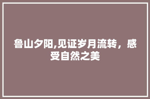 鲁山夕阳,见证岁月流转，感受自然之美