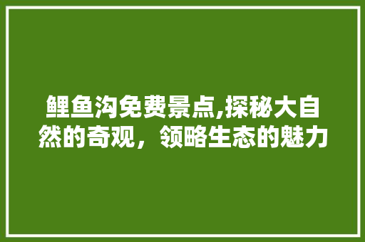 鲤鱼沟免费景点,探秘大自然的奇观，领略生态的魅力