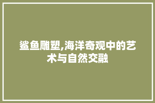 鲨鱼雕塑,海洋奇观中的艺术与自然交融