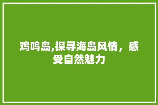 鸡鸣岛,探寻海岛风情，感受自然魅力