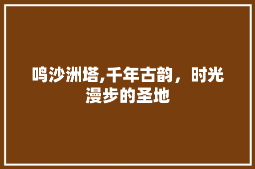 鸣沙洲塔,千年古韵，时光漫步的圣地