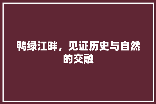 鸭绿江畔，见证历史与自然的交融