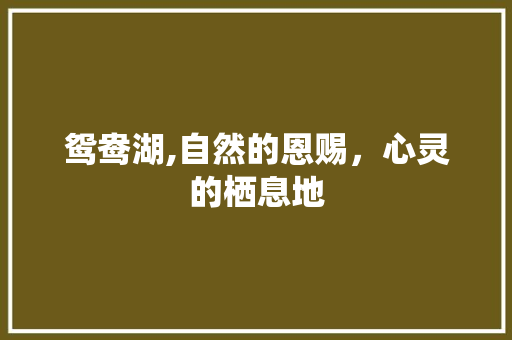 鸳鸯湖,自然的恩赐，心灵的栖息地