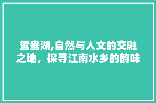 鸳鸯湖,自然与人文的交融之地，探寻江南水乡的韵味