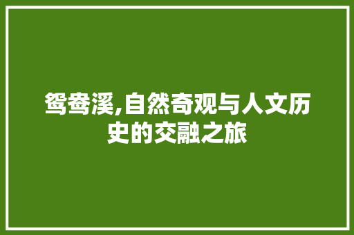 鸳鸯溪,自然奇观与人文历史的交融之旅