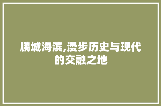 鹏城海滨,漫步历史与现代的交融之地