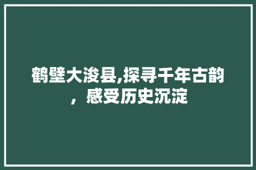 鹤壁大浚县,探寻千年古韵，感受历史沉淀