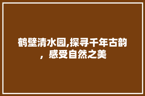 鹤壁清水园,探寻千年古韵，感受自然之美