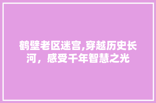 鹤壁老区迷宫,穿越历史长河，感受千年智慧之光