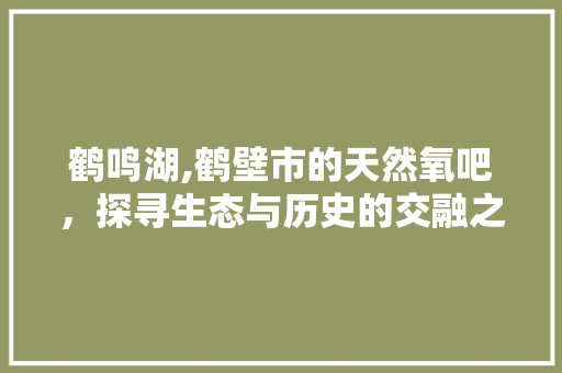 鹤鸣湖,鹤壁市的天然氧吧，探寻生态与历史的交融之地