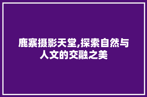 鹿寨摄影天堂,探索自然与人文的交融之美