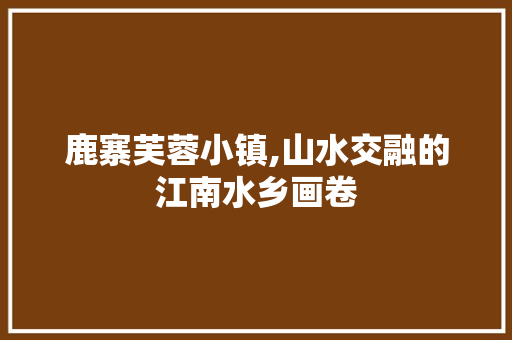 鹿寨芙蓉小镇,山水交融的江南水乡画卷