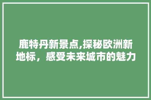 鹿特丹新景点,探秘欧洲新地标，感受未来城市的魅力