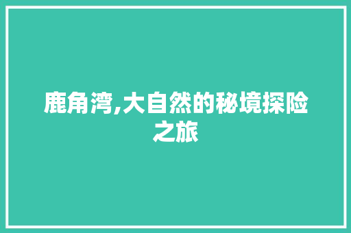 鹿角湾,大自然的秘境探险之旅