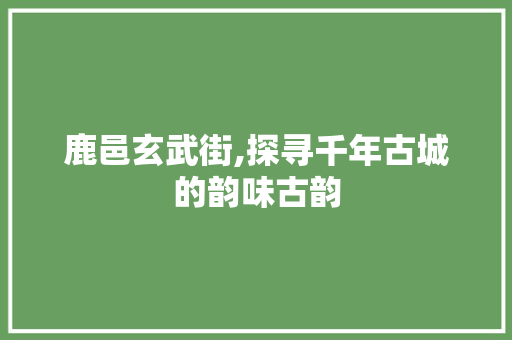 鹿邑玄武街,探寻千年古城的韵味古韵