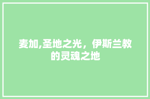 麦加,圣地之光，伊斯兰教的灵魂之地