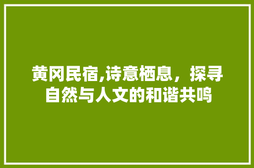 黄冈民宿,诗意栖息，探寻自然与人文的和谐共鸣