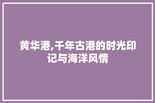 黄华港,千年古港的时光印记与海洋风情