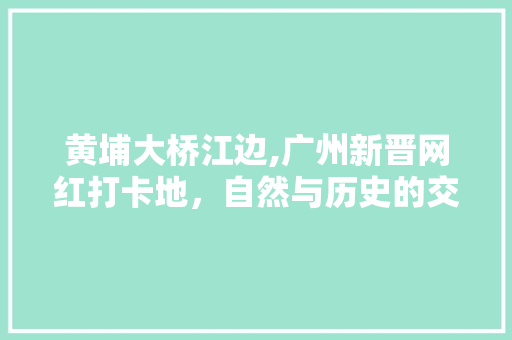 黄埔大桥江边,广州新晋网红打卡地，自然与历史的交融画卷