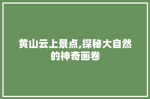 黄山云上景点,探秘大自然的神奇画卷