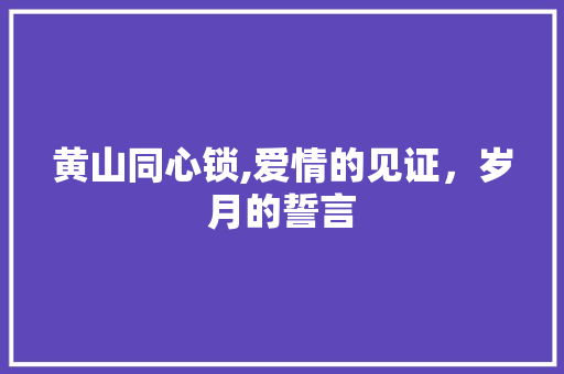 黄山同心锁,爱情的见证，岁月的誓言