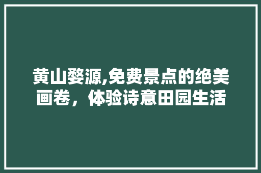 黄山婺源,免费景点的绝美画卷，体验诗意田园生活