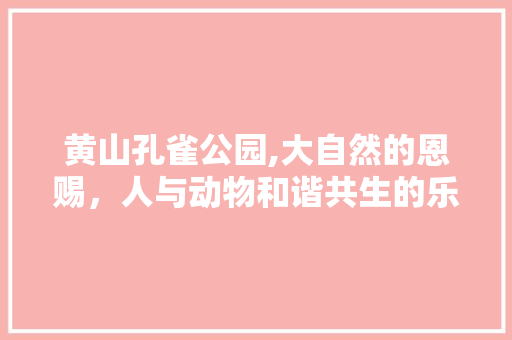 黄山孔雀公园,大自然的恩赐，人与动物和谐共生的乐园