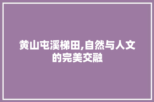 黄山屯溪梯田,自然与人文的完美交融