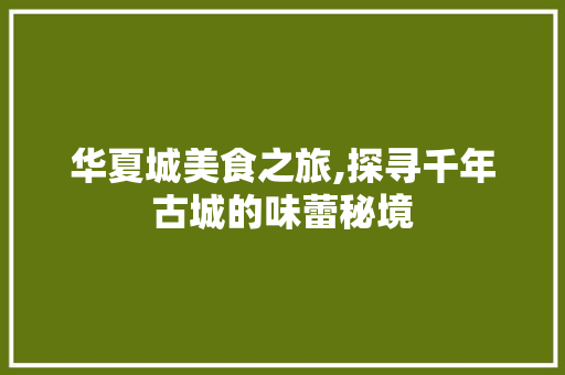 华夏城美食之旅,探寻千年古城的味蕾秘境