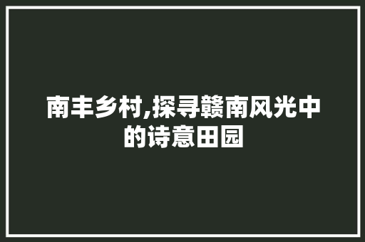 南丰乡村,探寻赣南风光中的诗意田园